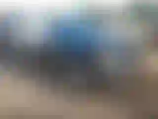 Vehicle Image- 2002 Honda Civic