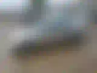 Vehicle Image- 2002 Honda Civic