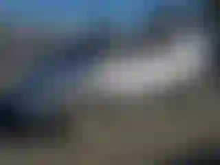 Vehicle Image- 2003 Honda Civic