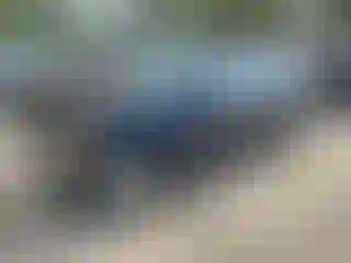 Vehicle Image- 2002 Honda Civic