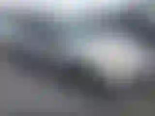Vehicle Image- 2001 Honda Civic