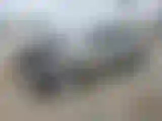 Vehicle Image- 2004 Honda Civic