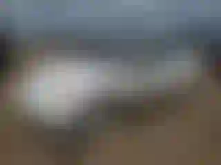 Vehicle Image- 2003 Honda Civic