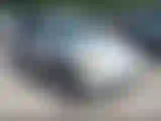 Vehicle Image- 2001 Honda Civic