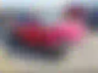 Vehicle Image- 2002 Honda Civic