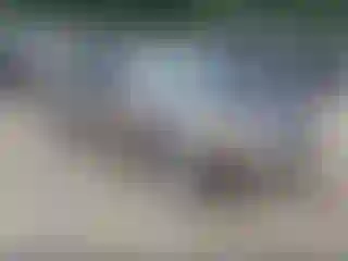 Vehicle Image- 2002 Honda Civic
