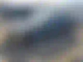 Vehicle Image- 2002 Honda Civic