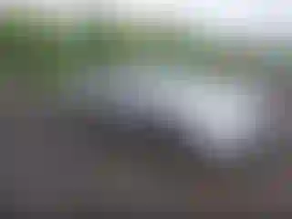 Vehicle Image- 2004 Honda Civic