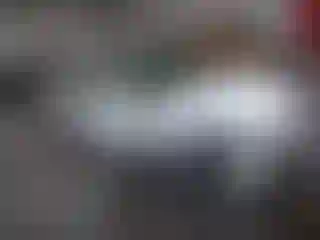 Vehicle Image- 2004 Honda Civic