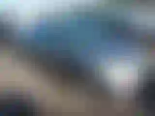 Vehicle Image- 2004 Honda Civic