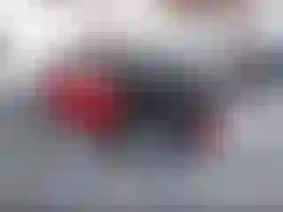 Vehicle Image- 2001 Honda Civic