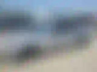 Vehicle Image- 2003 Honda Civic