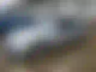 Vehicle Image- 2004 Honda Civic