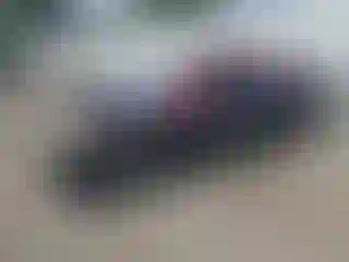 Vehicle Image- 2002 Honda Civic