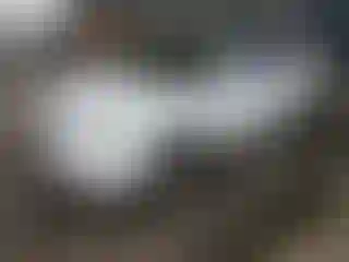 Vehicle Image- 2004 Honda Civic