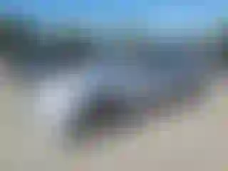 Vehicle Image- 2004 Honda Civic