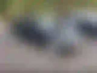 Vehicle Image- 2004 Honda Civic