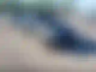 Vehicle Image- 2005 Honda Civic