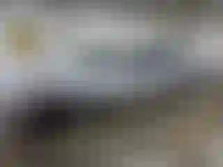 Vehicle Image- 2002 Honda Civic
