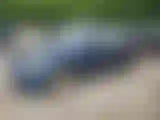 Vehicle Image- 2003 Honda Civic