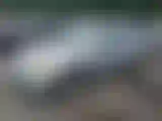 Vehicle Image- 2003 Honda Civic