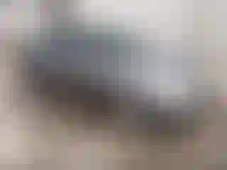 Vehicle Image- 2005 Honda Civic