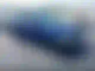 Vehicle Image- 2004 Honda Civic