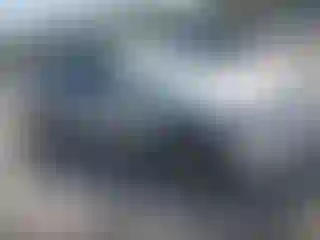 Vehicle Image- 2004 Honda Civic