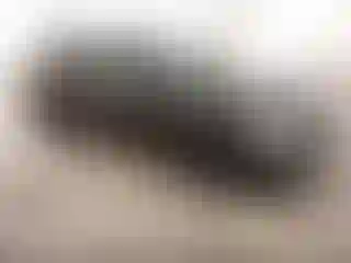 Vehicle Image- 2005 Honda Civic