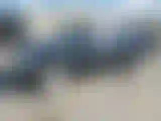 Vehicle Image- 2001 Honda Civic