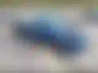 Vehicle Image- 2003 Honda Civic