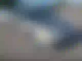 Vehicle Image- 2002 Honda Civic