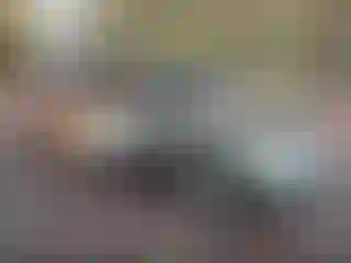 Vehicle Image- 2004 Honda Civic