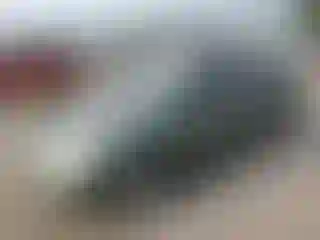 Vehicle Image- 2004 Honda Civic
