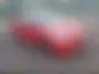 Vehicle Image- 2005 Honda Civic