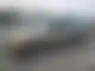 Vehicle Image- 2001 Honda Civic