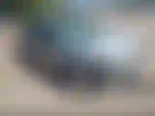 Vehicle Image- 2003 Honda Civic