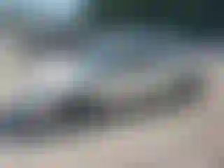 Vehicle Image- 2002 Honda Civic