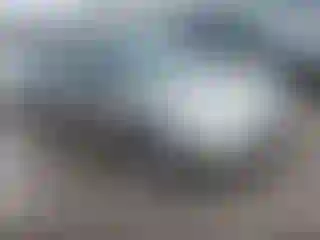 Vehicle Image- 2005 Honda Civic