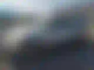 Vehicle Image- 2002 Honda Civic