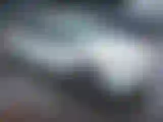 Vehicle Image- 2004 Honda Civic