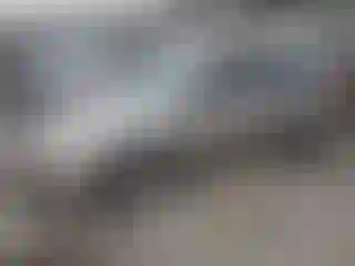 Vehicle Image- 2004 Honda Civic