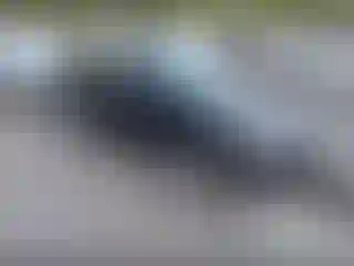 Vehicle Image- 2003 Honda Civic