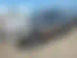 Vehicle Image- 2001 Honda Civic