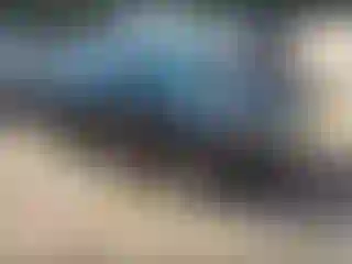 Vehicle Image- 2003 Honda Civic