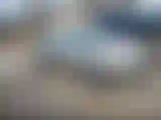 Vehicle Image- 2002 Honda Civic