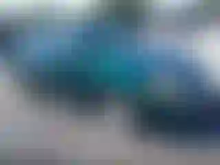 Vehicle Image- 2001 Honda Civic