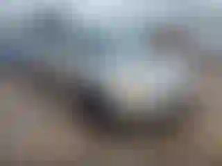 Vehicle Image- 2002 Honda Civic