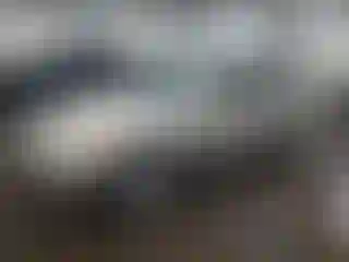 Vehicle Image- 2003 Honda Civic