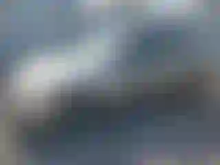 Vehicle Image- 2002 Honda Civic